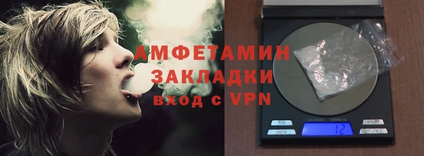 молекула духа Чита