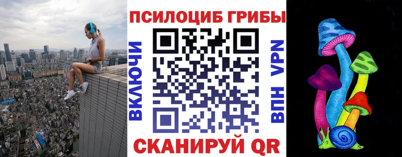 наркотики mega зеркало Галлюциногенные грибы мицелий Хадыженск